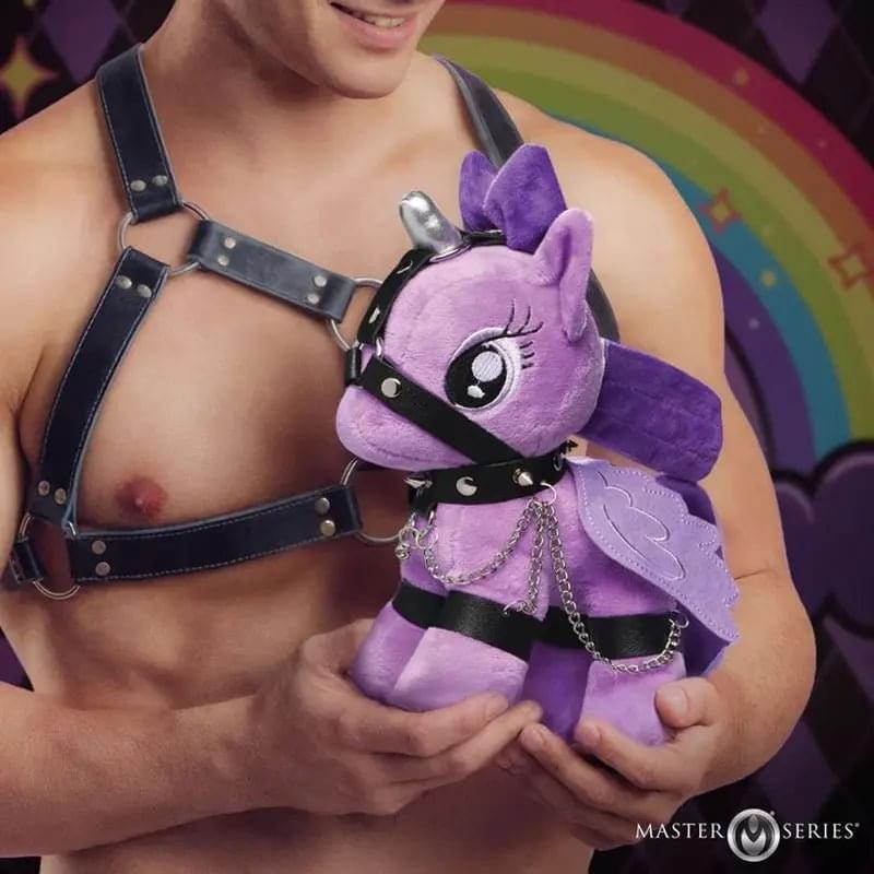 Raven Plum Bondage Pony Master Series Discreet Intimate Essentials.