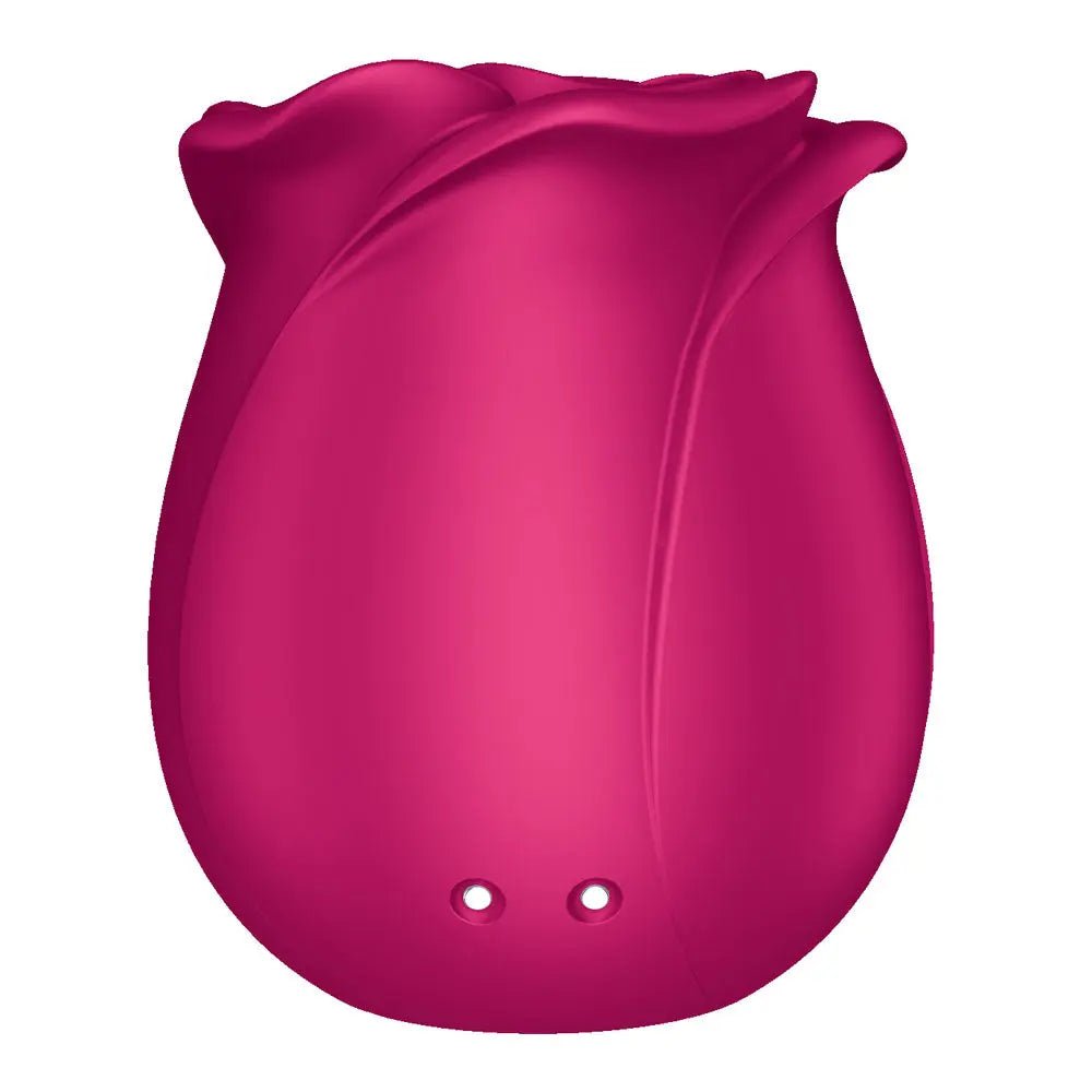 Shop affordable quality Satisfyer Pro 2 Classic Blossom - USB-C Rechargeable Air Pulse Rose Stimulator - Discreet Intimate Essentials - AIR PULSATION-PREMIUM - Satisfyer