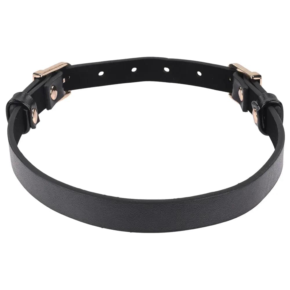 Sex & Mischief Double Buckle Day Collar -  Collar Sportsheets Discreet Intimate Essentials.