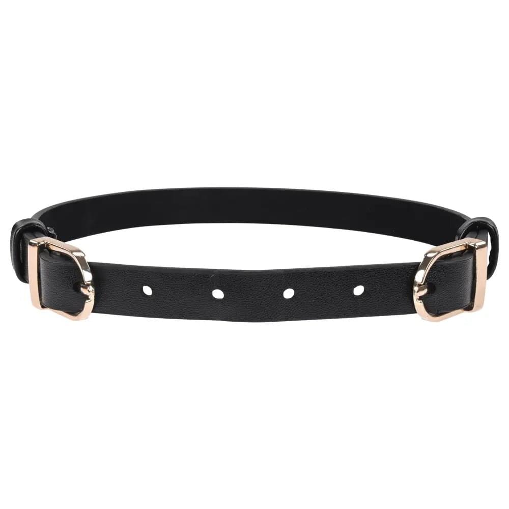 Sex & Mischief Double Buckle Day Collar -  Collar Sportsheets Discreet Intimate Essentials.