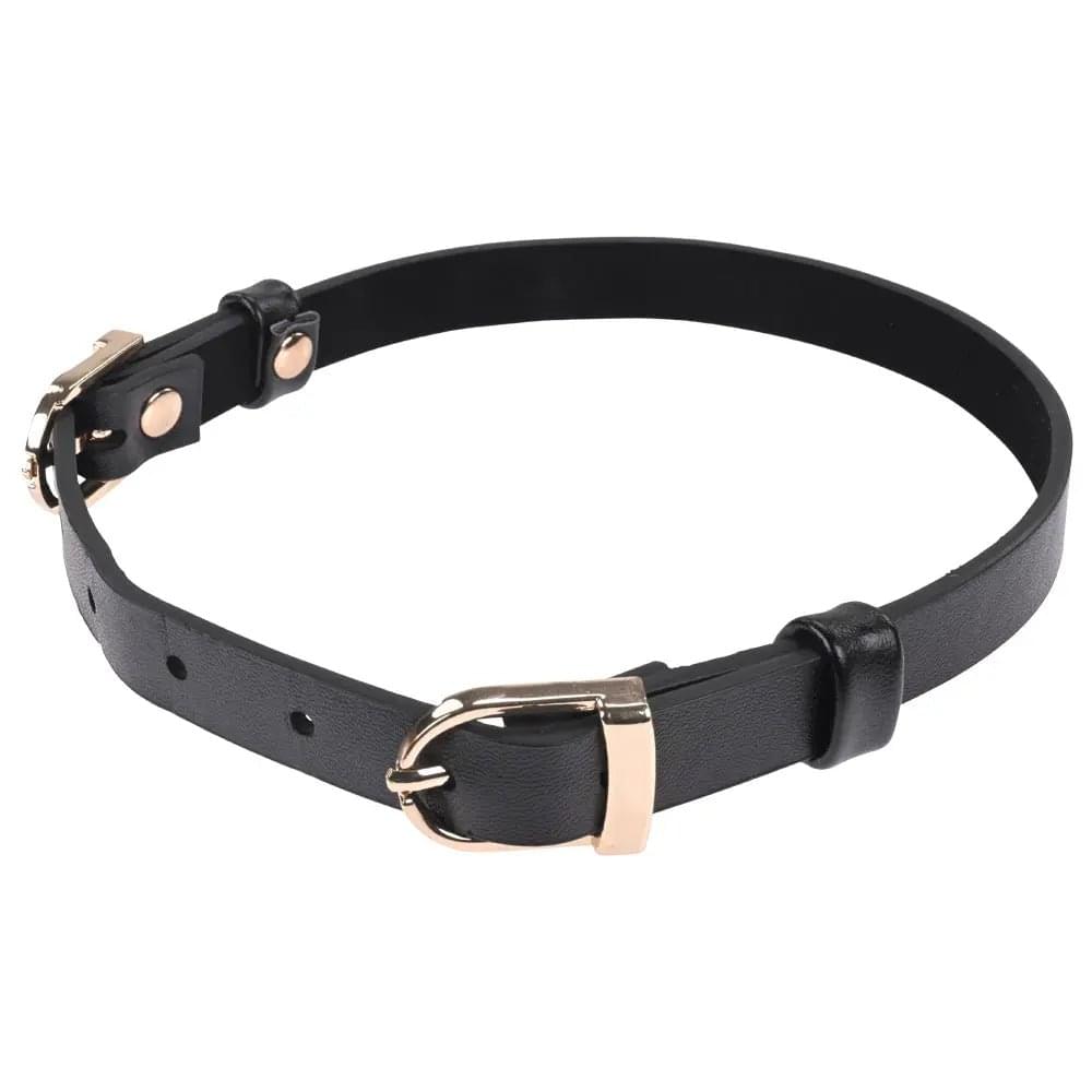 Sex & Mischief Double Buckle Day Collar -  Collar Sportsheets Discreet Intimate Essentials.