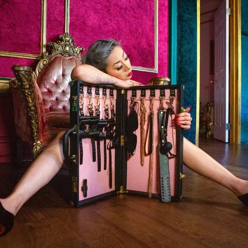 Temptasia Safe Word Bondage Kit with Suitcase - 9 Piece Bondage Set Blush Novelties Discreet Intimate Essentials.