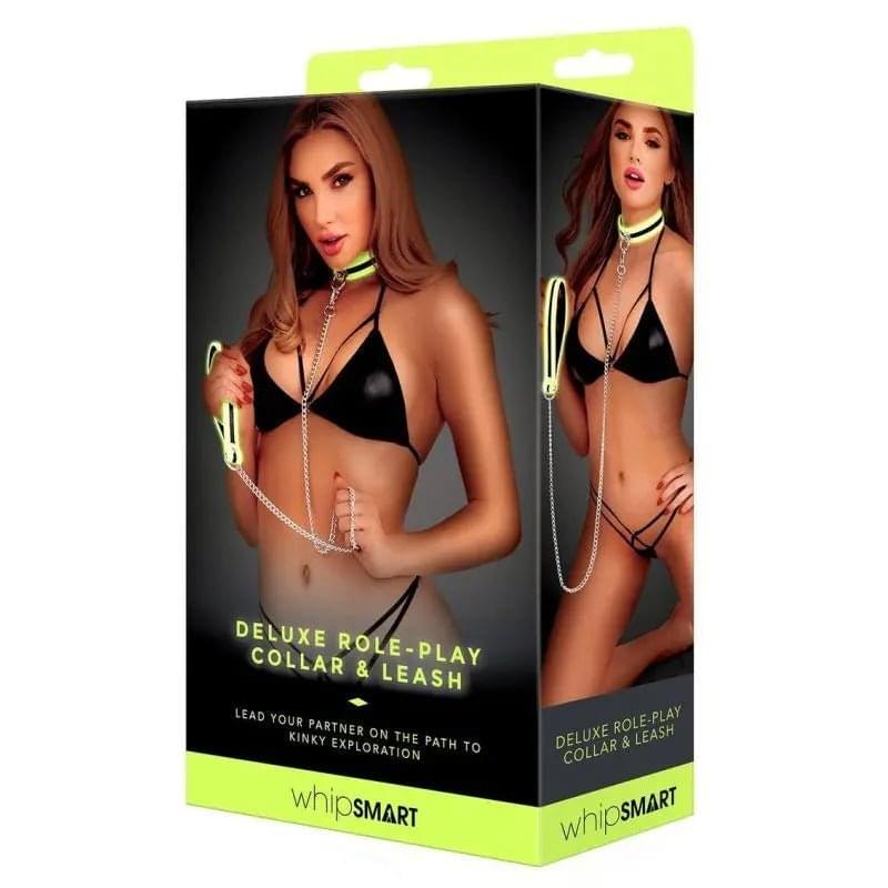 Whip Smart Glow In The Dark Deluxe Collar and Leash Whipsmart Discreet Intimate Essentials.